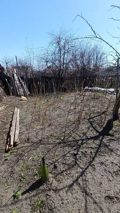 Дача в СО Чапаевское