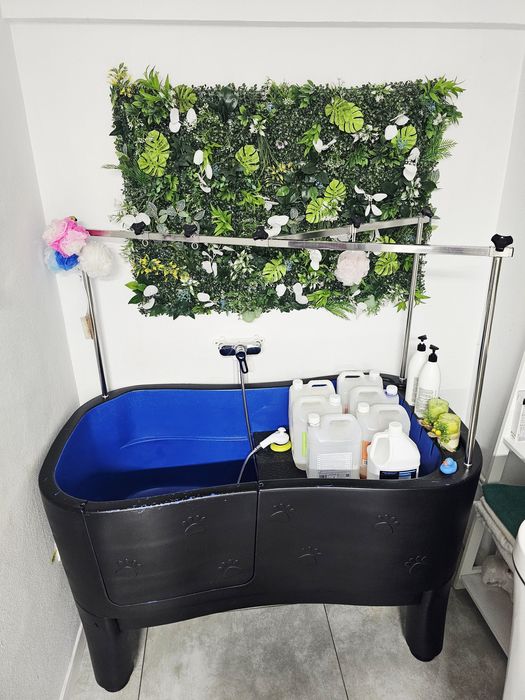 Cada fixa Neptun pentru toaletaj