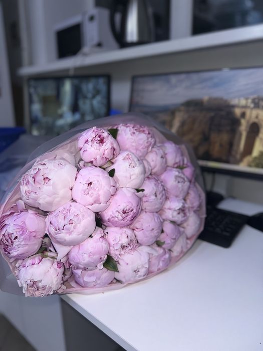 цветы пионы 25шт