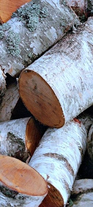 Продам дрова, береза, колотые.