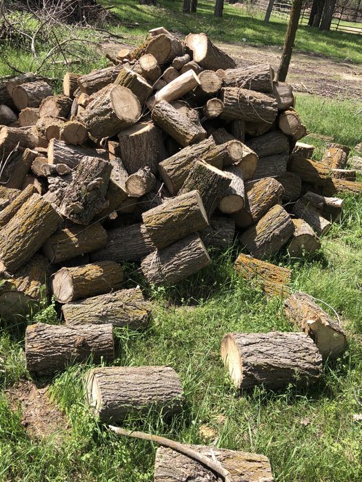 Продаются дрова (карагач сухой)