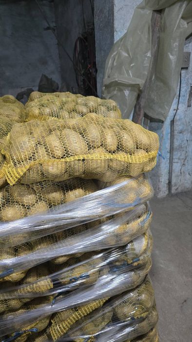 Продавам едри картофи от Сърница