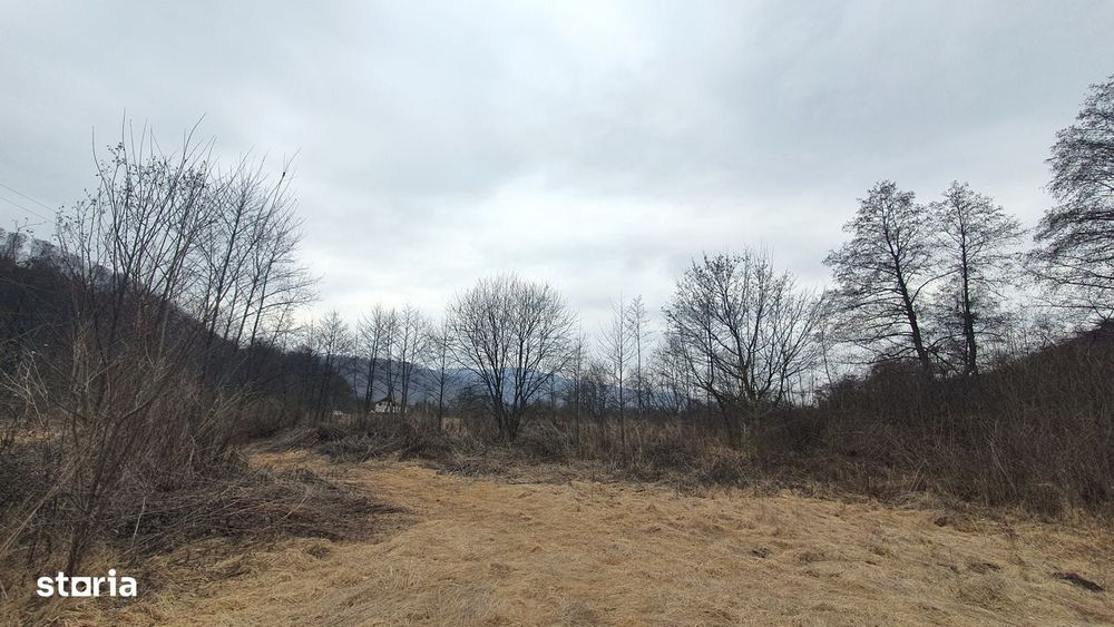 Teren Stana de Vale Sovata - Telek Patakmajor