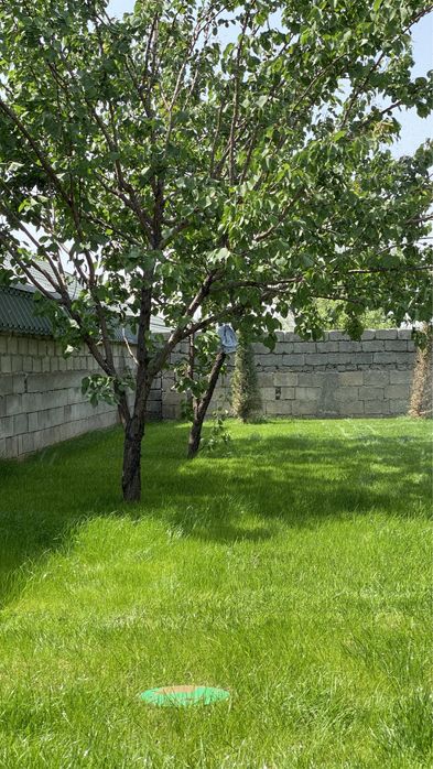 Газон Автополив ручной полив