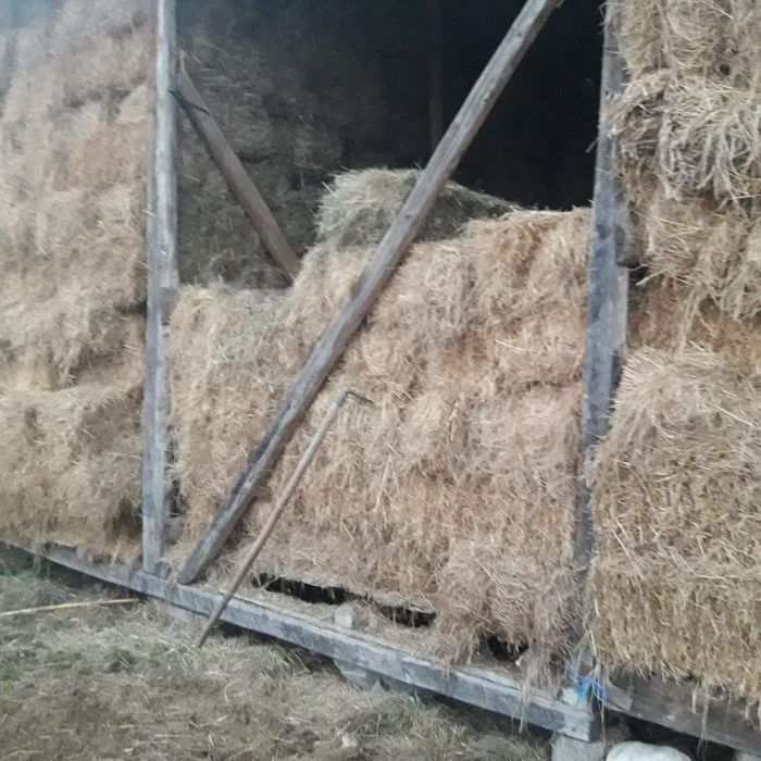 Baloți otavă, ultima coasă