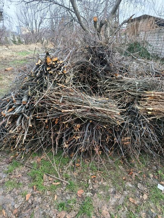 Ўтин тайор чопилган