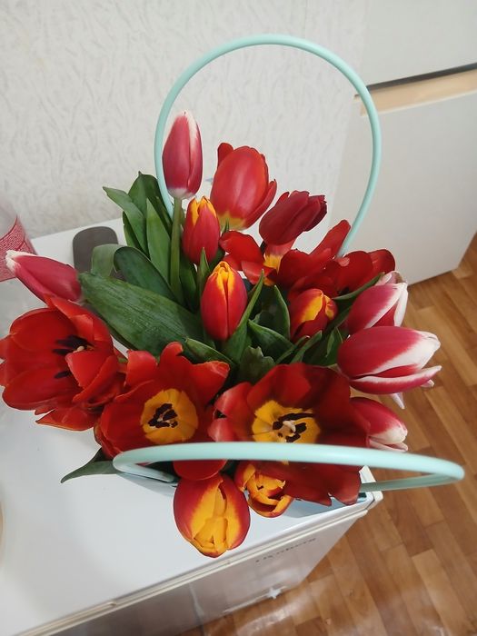 Цветы тюльпаны  свежие