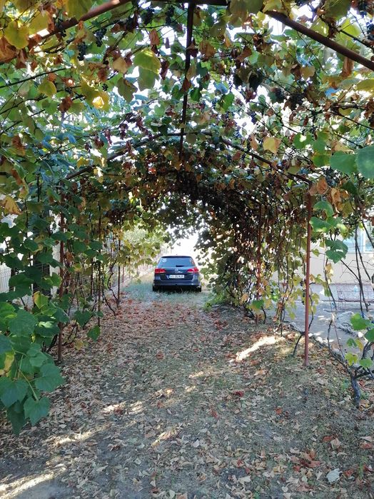 Casa nou comuna buzoesti teren 1765 mp,livada pomi fructiferi +anexa
