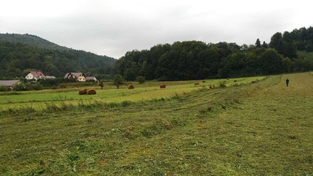 Teren 3930 mp Bucsoaia - Gura Humorului