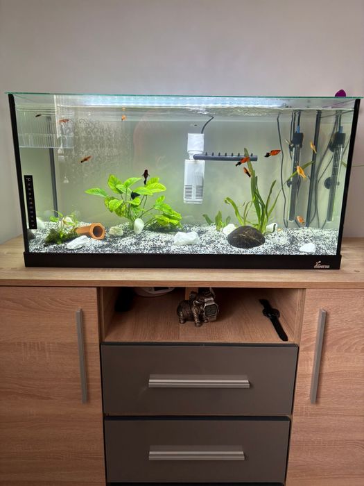 Vand Acvariu 120 Litri Complect