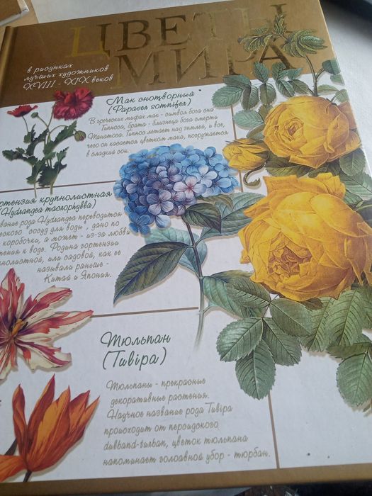 Продам тематические книги