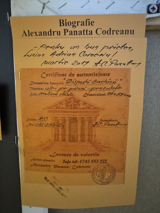 Puctura de colectie semnata Alexandru Panatta Codreanu