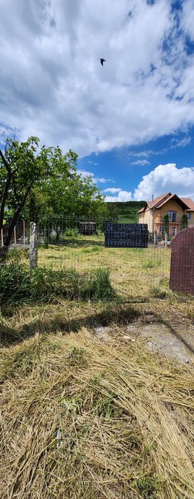 Vând teren Jucu de mijloc