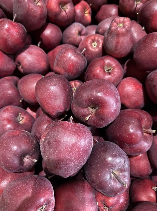 Mere PREMIUM Jeronimo Starkinson–calitate superioară ș culoare intensă