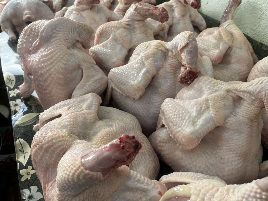 Мясо бройлера домашнего