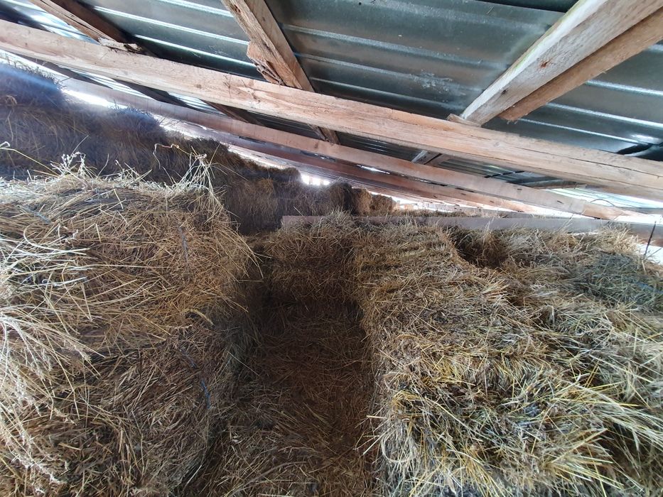 Baloți de fân - Calitate superioară