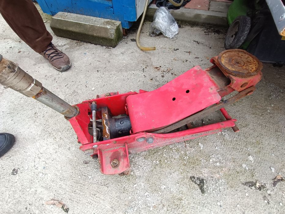 Cric crocodil  defect