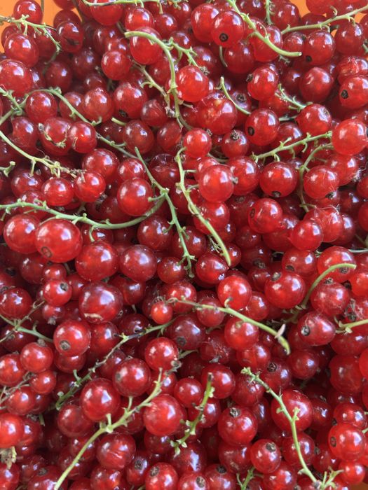 Продам дачу 131 км общество Путеец 4