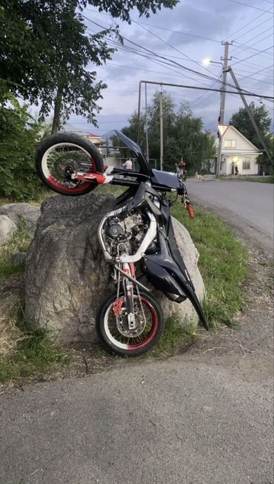 Zuumav CX300R 2024