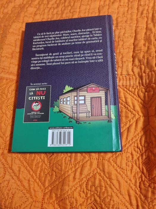 Cartea cum sa faci sa nu citești in vacanta de vara