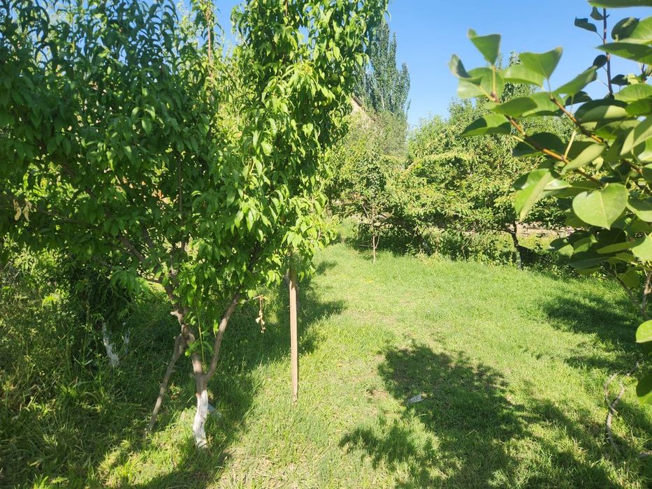 Ховли ер участкаси