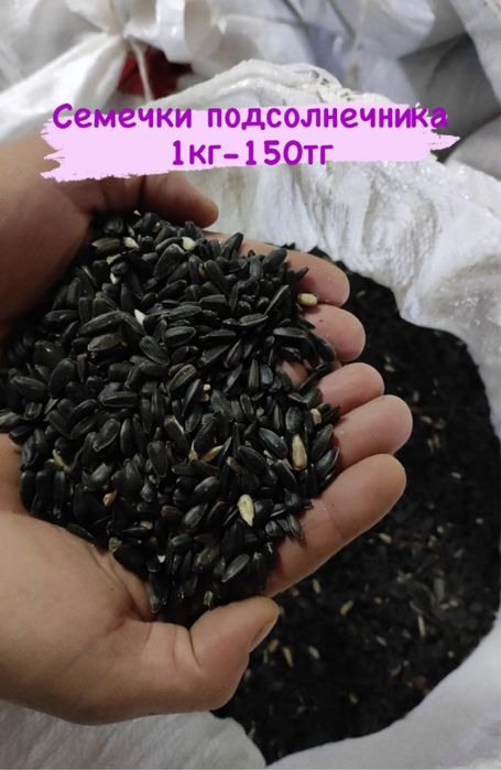 Корма для животных