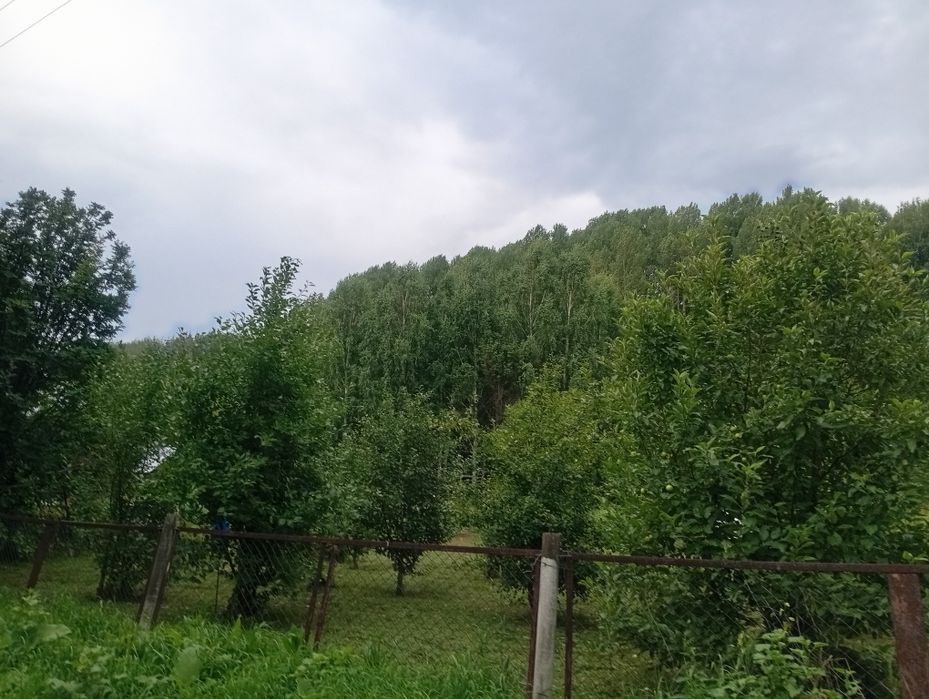 Дача с пасекой (за Тарханкой)