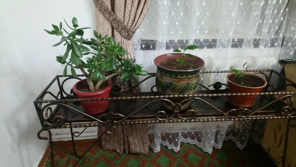 Изготовим кровать в стиле лофт и другие изделия из металла.