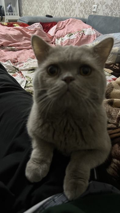 Penza jinsiy aloqa video