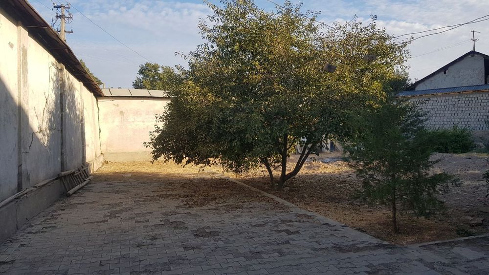 Кўктеракда 12сот. уй сотилади 18 000