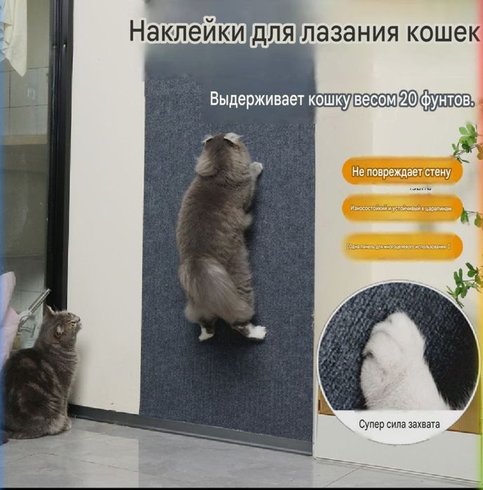Когтеточка на стену