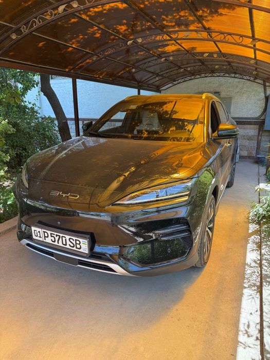 byd song champion