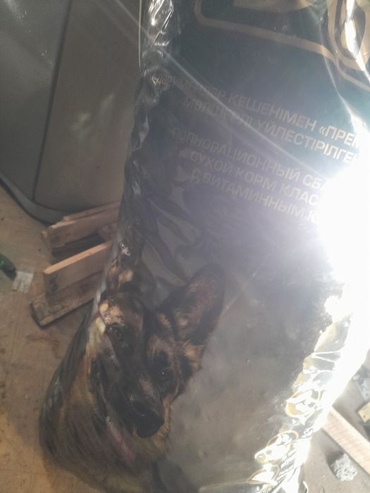 Продам корм для собак 19 кг