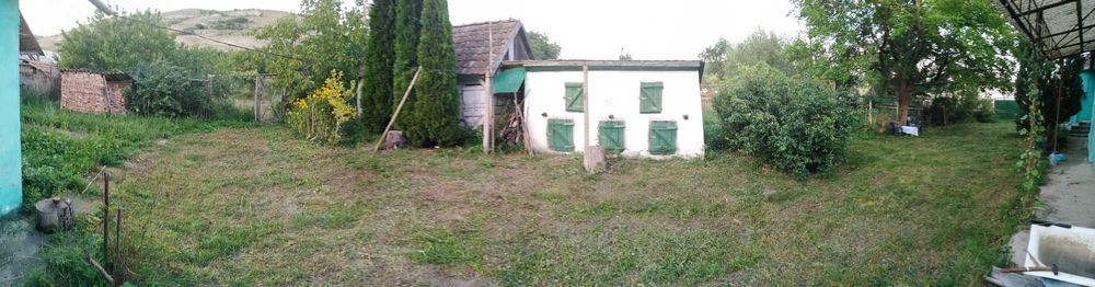 Casă de vânzare în județul Alba, comuna Jidvei, satul Veseuș, nr. 2