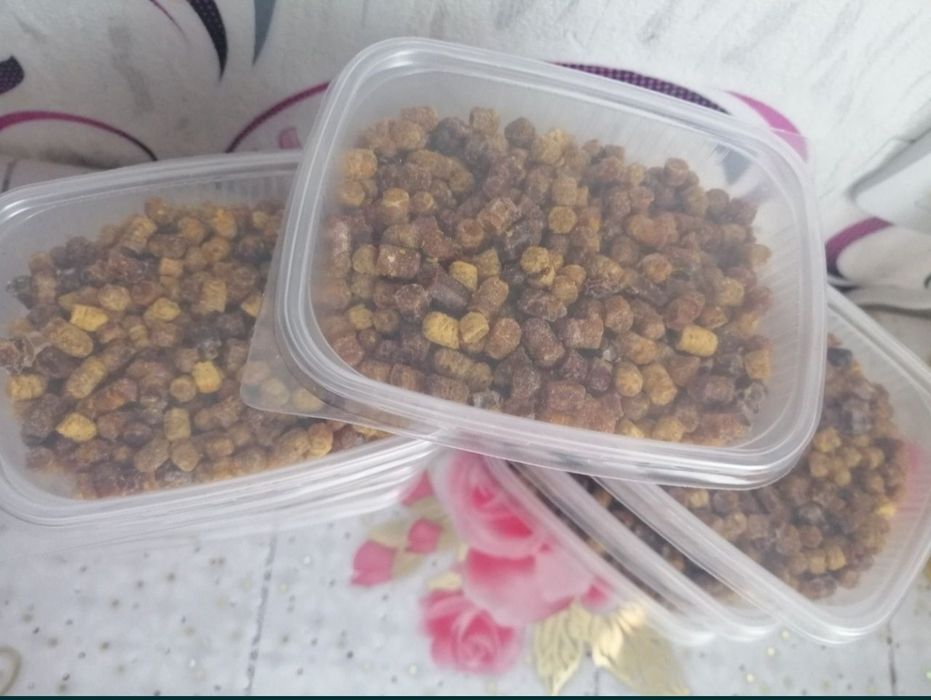 Продам пергу пчелиную, прополис