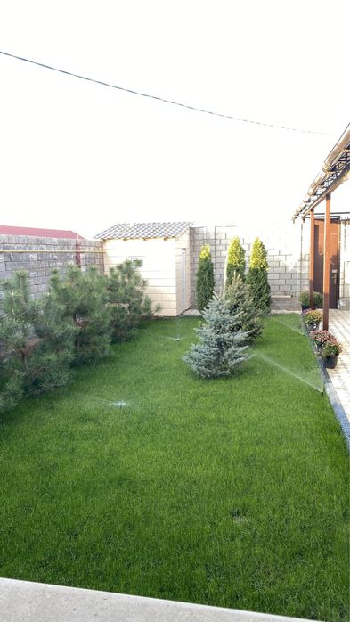 Газон Автополив Рулон Газон