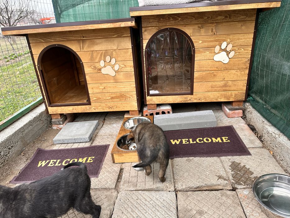 Кучешки къщи, къща за куче