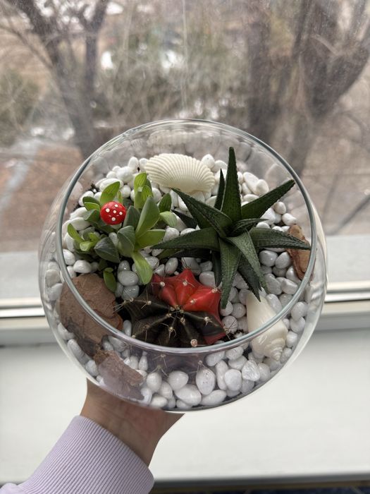 Комнатные растения