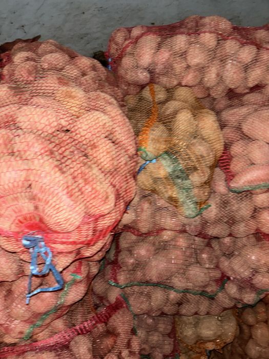 Vand cartofi consum samanta si pentru animale