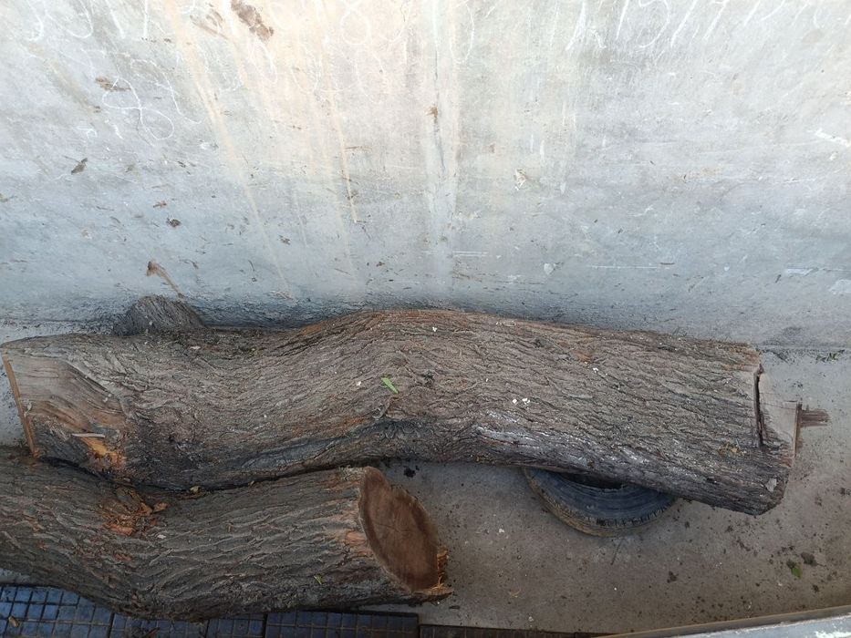 Продам пень для декора