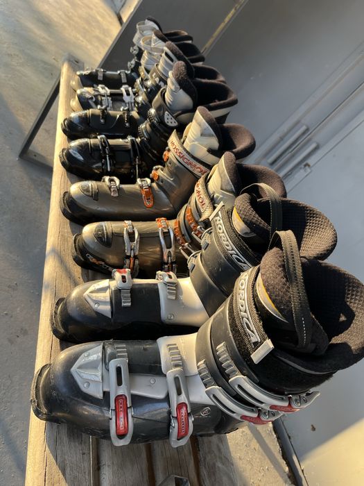 Schiuri / Schi / ski / Clapari  39 - 43 / 146 - 170 cm