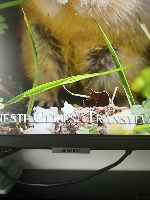 Monitor smart samsung m7