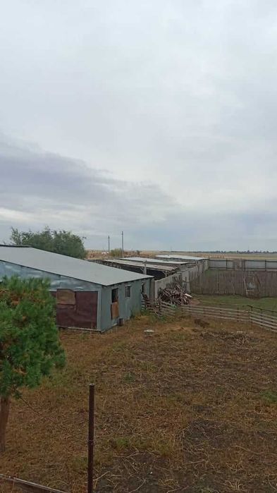 Продам фазенду в поселке Сергеевка