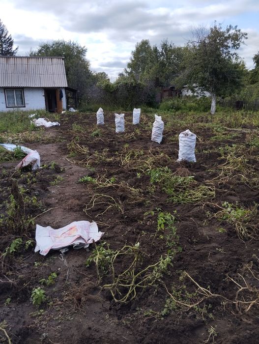 Продам Дачу Сад Здоровье участок 7 соток