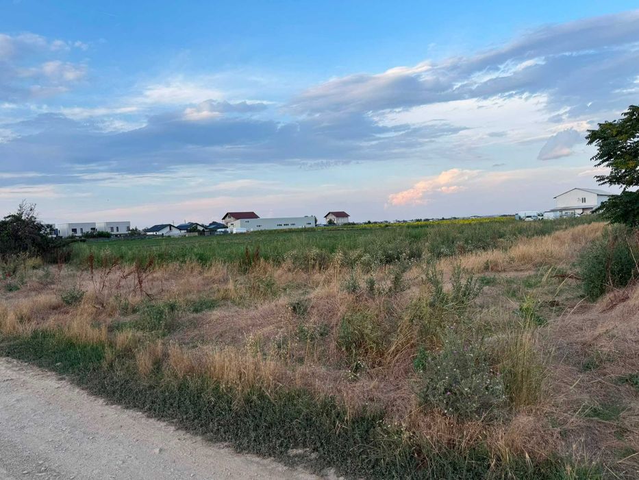 Teren Intravilan 959 mp – Bălăceanca (Cernica), Zonă Rezidențială Nouă