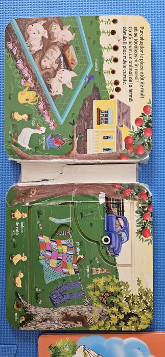 Set carti animale copii