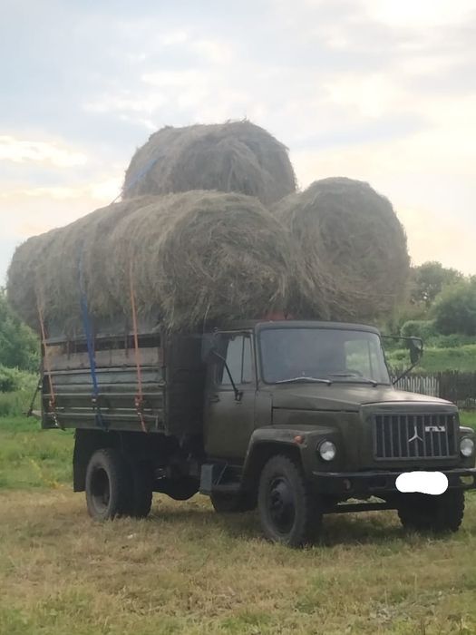 Продам сено луговое разнотравие