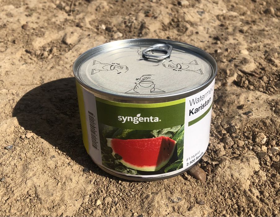 Семена арбуза Syngenta Karistan (Каристан)