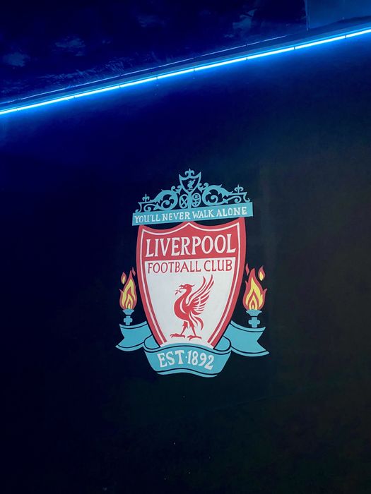 Роспись стен,Художники,Рисунки,Рисунки для стен