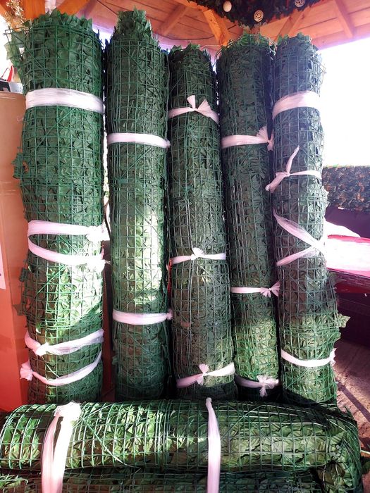 Gard Verde Inaltime 2 Metri